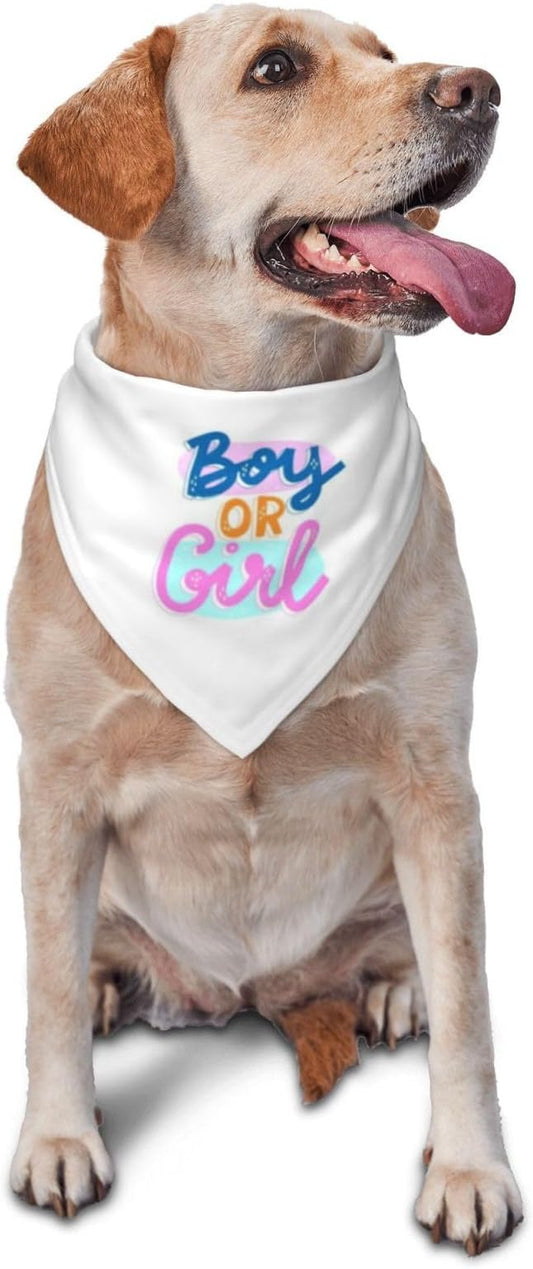 He Or She What Will It Be? Gender Reveal/Baby Announcement Dog Bandana,Pet Neckerchief for Pets Daily Wear Photo Prop Party Supplies (White -2)