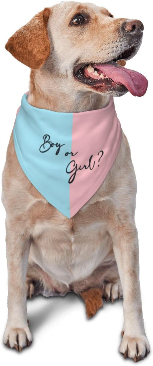 He Or She What Will It Be? Gender Reveal/Baby Announcement Dog Bandana,Pet Neckerchief for Pets Daily Wear Photo Prop Party Supplies (boy or Girl-2)