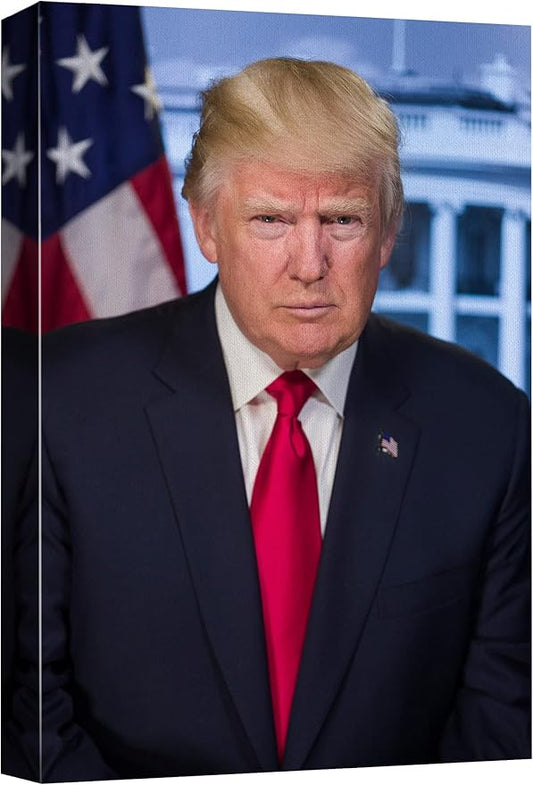 wall26 - Portrait of Donald Trump (45th President of The United States) - American Presidents Series - Canvas Wall Art Gallery Wrap Ready to Hang - 12x18 inches