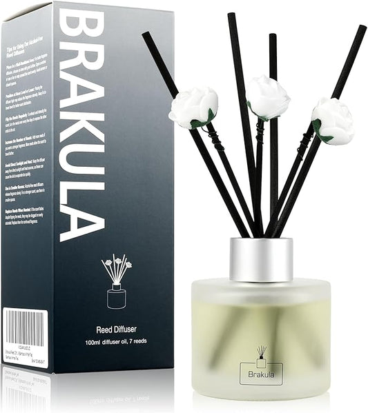 Brakula Reed Diffuser Set, Bamboo White Tea Scented， Reed diffusers for Home， Home Fragrance Diffuser with 7 Reed Sticks for Room/Bathroom Decor 3.38 fl oz (100 ml) (Bamboo White Tea)